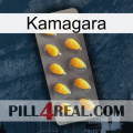 Kamagara cialis1